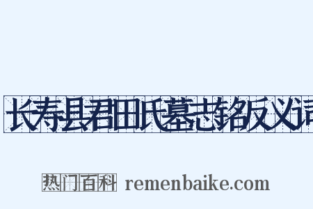 长寿县君田氏墓志铭反义词是什么意思的图片